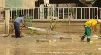 Nusaybin'de Belediye Bütün Okulların Bahçelerini Temizledi