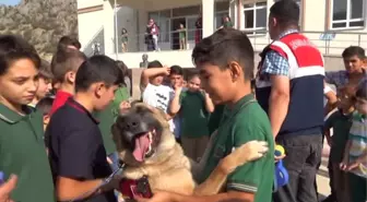 Jandarma Köpekleri Sınıflara Girdi