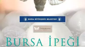 Bursa'da İpek Şenliği