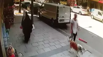 Çalınan Köpeğinin Yerini Söyleyene Bin TL Ödül Veriyor