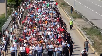 CHP'nin Düzenlediği 'Fındıkta Adalet' Yürüyüşü 2. Gününde Sürüyor