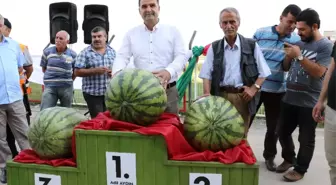 Diyarbakır'ın En Ağır Karpuzu Seçildi