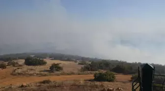 Eskişehir'deki Orman Yangınını Söndürme Çalışmaları Sürüyor