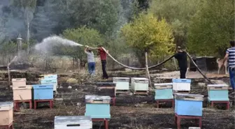 Ardahan'da Kafkas Arısı Gen Merkezi'nde Yangın