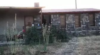 Dağdaki Taşlar Eski Çobanın Elinde Sanata Dönüşüyor