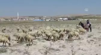 Konya'da Yeni Obruk Oluştu