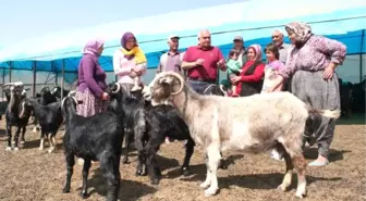 Yörükler Dönüş Yolculuğuna Hazırlanıyor