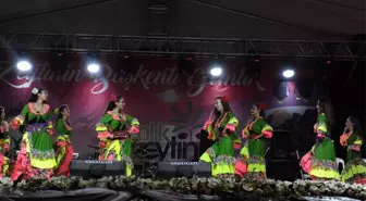 Gemlik Zeytini Festivalinden Renkli Görüntüler