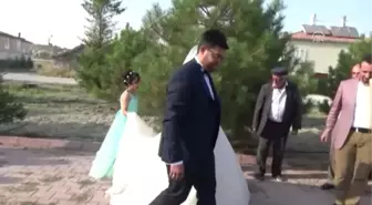 Nikah Şekeri Yerine Çam Fidanı Dağıttılar