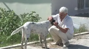 Yaşamı da Besteleri Gibi Duygu Yüklü