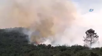 Sancaktepe'de Askeri Alanda Yangın