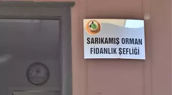 Şehitler Diyarında '15 Temmuz Şehitleri' Anısına Fidan Üretiliyor