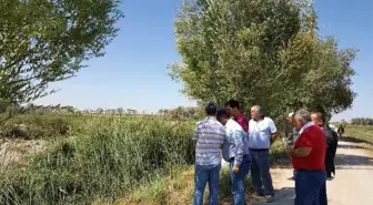 Tika'dan, Aral Gölü Civarında Fidanlık ve Ağaçlandırma Çalışmaları