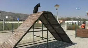 Afyonkarahisar Deprem ve Afetlere Hazır