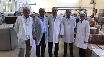 Kestane Tarımına Vekil Desteği