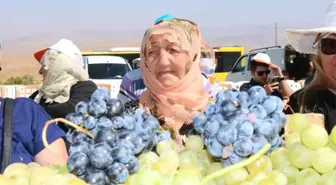 Üzümler Yarıştı, Birinciler Çapa Makinesi Kazandı