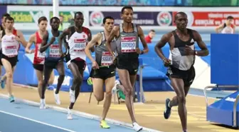 Ali Kaya, Fenerbahçe'de