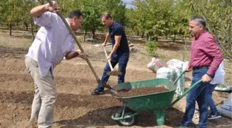 Altın Bitki 'Safran'da Üretim ve Kalite Artırmak İçin Proje