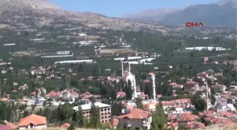 Antalya Yayla Domatesi Yeşil Olarak İhraç Ediliyor