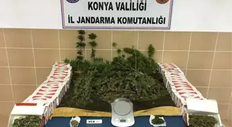 Konya'da Jandarmadan Uyuşturucu Operasyonu