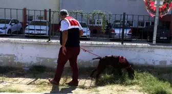 Jandarmadan 'Okul Güvenliği' Uygulaması