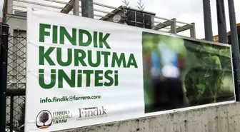 Ferrero Fındık'tan, Fındık Üreticilerine Ücretsiz Kurutma Desteği