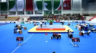 14. Dünya Büyükler Wushu Şampiyonası - Kazan