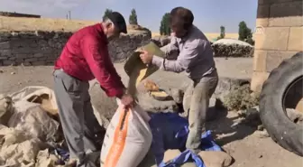 Buğday ve Arpalar Kuyularda Muhafaza Ediliyor