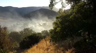 Adıyaman'da Korkutan Yangın