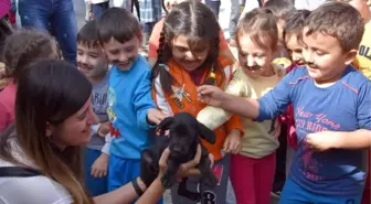 Öğrenciler, Bakımevindeki Hayvanları Ziyaret Etti