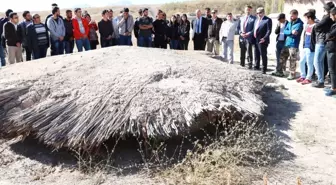 Arkeoloji Öğrencileri, İlk Derslerini Kazı Alanında İşledi