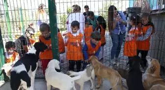 Hayvanları Koruma Gününde Miniklere Özel Etkinlikler