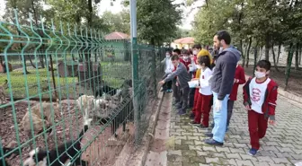 Minik Öğrencilerden Sokak Hayvanları Geçici Bakımevi'ne Ziyaret