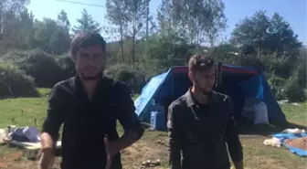 Fiyatları Protesto Etmek İçin Fındığı Ateşe Verdiler