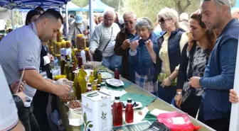 Zeytin Hasadı Törenle Başladı