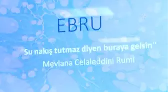 Ebru Sanatçısı Yeşil, İran'da