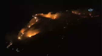 ABD'de Yangın: 10 Ölü