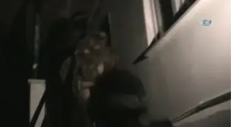 Bursa'da El-Nusra Operasyonunda 3 Tutuklama