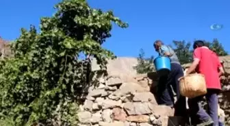 Hevenk Ettikleri Meyveleri Kışın Tüketiyorlar