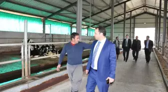 Tkdk'dan Kahramanmaraş'a 100 Milyon Lira Hibe Ödemesi