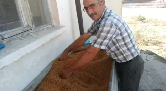 Şimdi Bulgur Zamanı