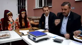 Niksar'da 'Altın Ceviz' Seçmeleri Yapıldı