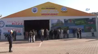 Bakan Osman Aşkın Bak, Sultangazi Hamsi Festivali'nin Açılışına Katıldı