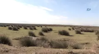 Samsun Cumhuriyet Başsavcı Vekilinin de Katıldığı Fotoğraf Yarışması Başladı