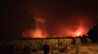 Kaliforniya Yangınında Ölü Sayısı 40'a Yükseldi, Yüzlerce İnsan Kayıp