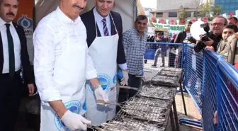 Sultangazi 2. Hamsi Festivali'nde 3 Ton Hamsi Dağıtıldı