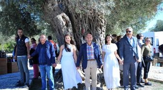 Dünyanın En Pahalı Zeytinyağı, Seferihisar'da Satıldı
