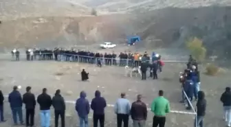 Bahisle Köpek Dövüşüne Jandarma Baskını