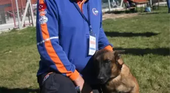 Arama ve Kurtarma Köpeklerinin Zorlu Yeterlilik Sınavları