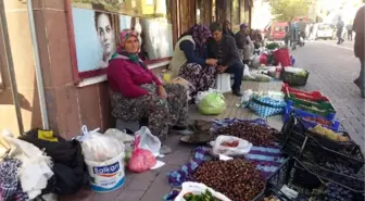 Kazdağı Kestanesinin Fiyatı 3 Liraya Düştü